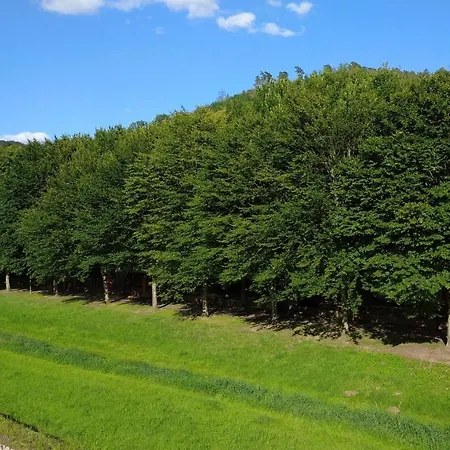 Apartment Apartment24 Lügde